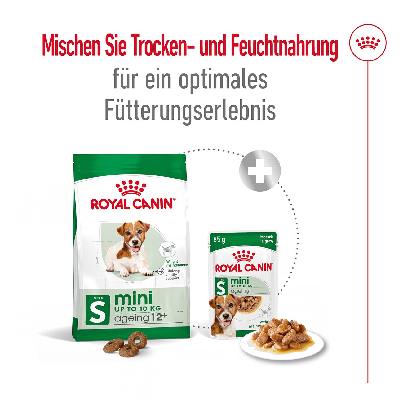 ROYAL CANIN Mini Ageing 12+ in Soße 12x85 g