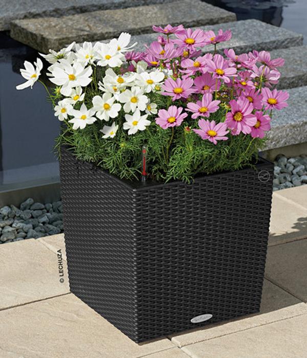LECHUZA® Kunststoff-Topf Cube Cottage,