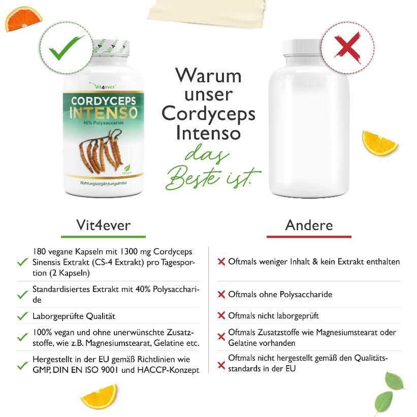 vit4ever Cordyceps Intenso