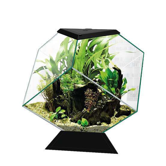 Aquarium nexus 14 L diamond noir