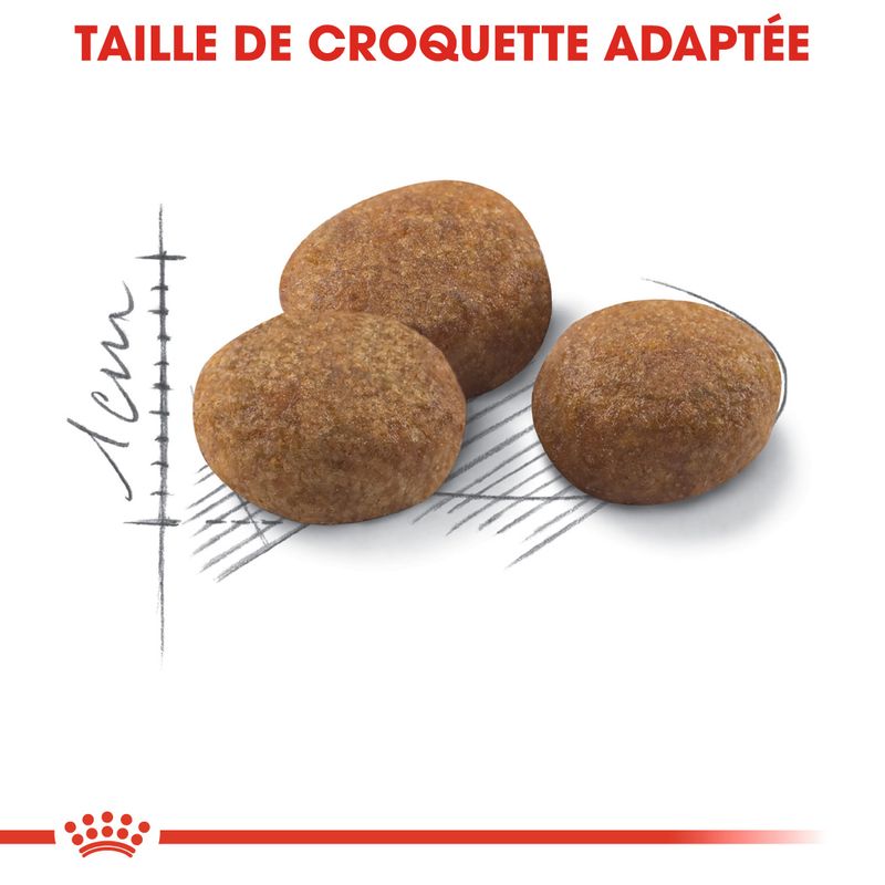 Royal Canin Sterilised +7 à prix discount sur bitiba.fr
