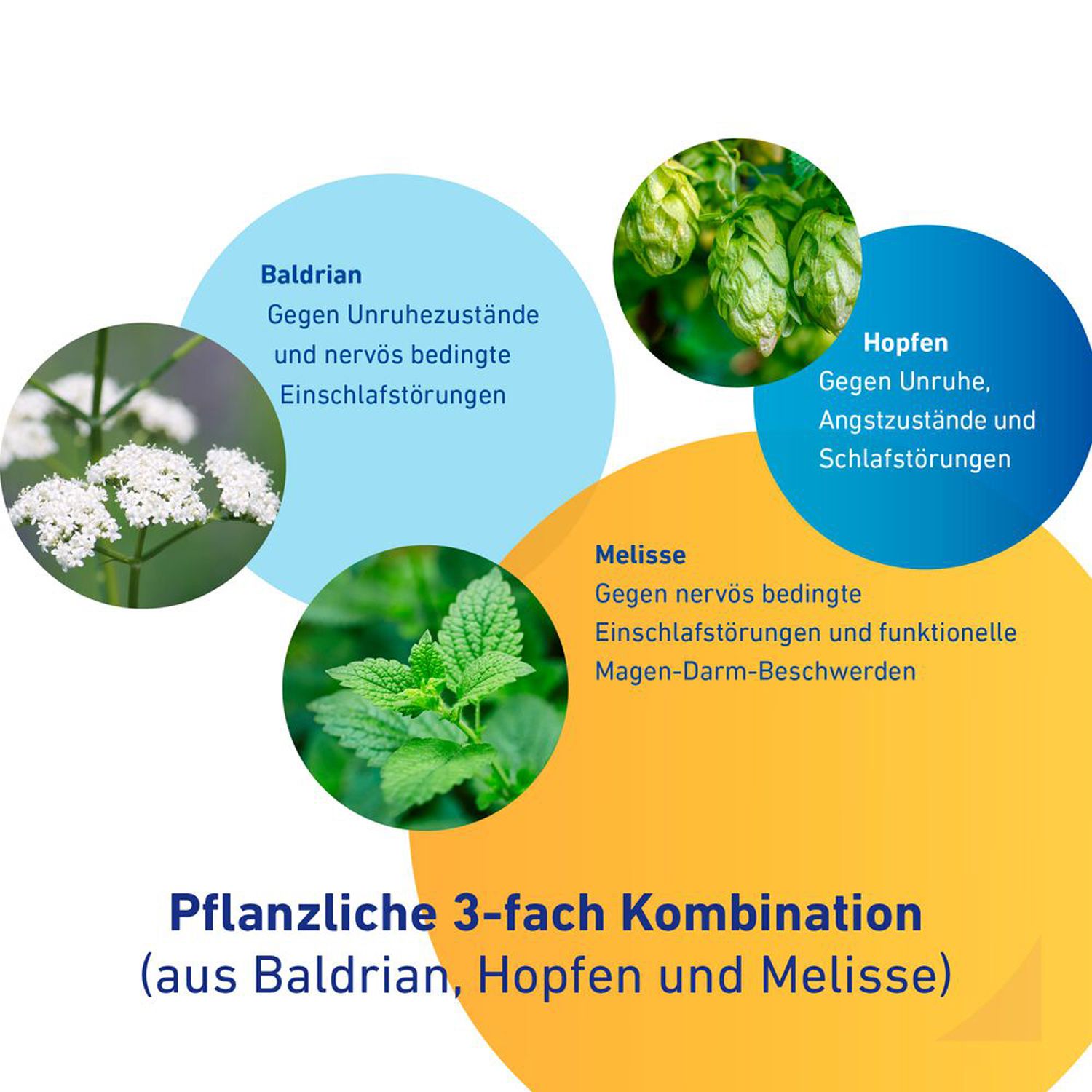 Sedacur forte bei Einschlafstörungen & Unruhezuständen