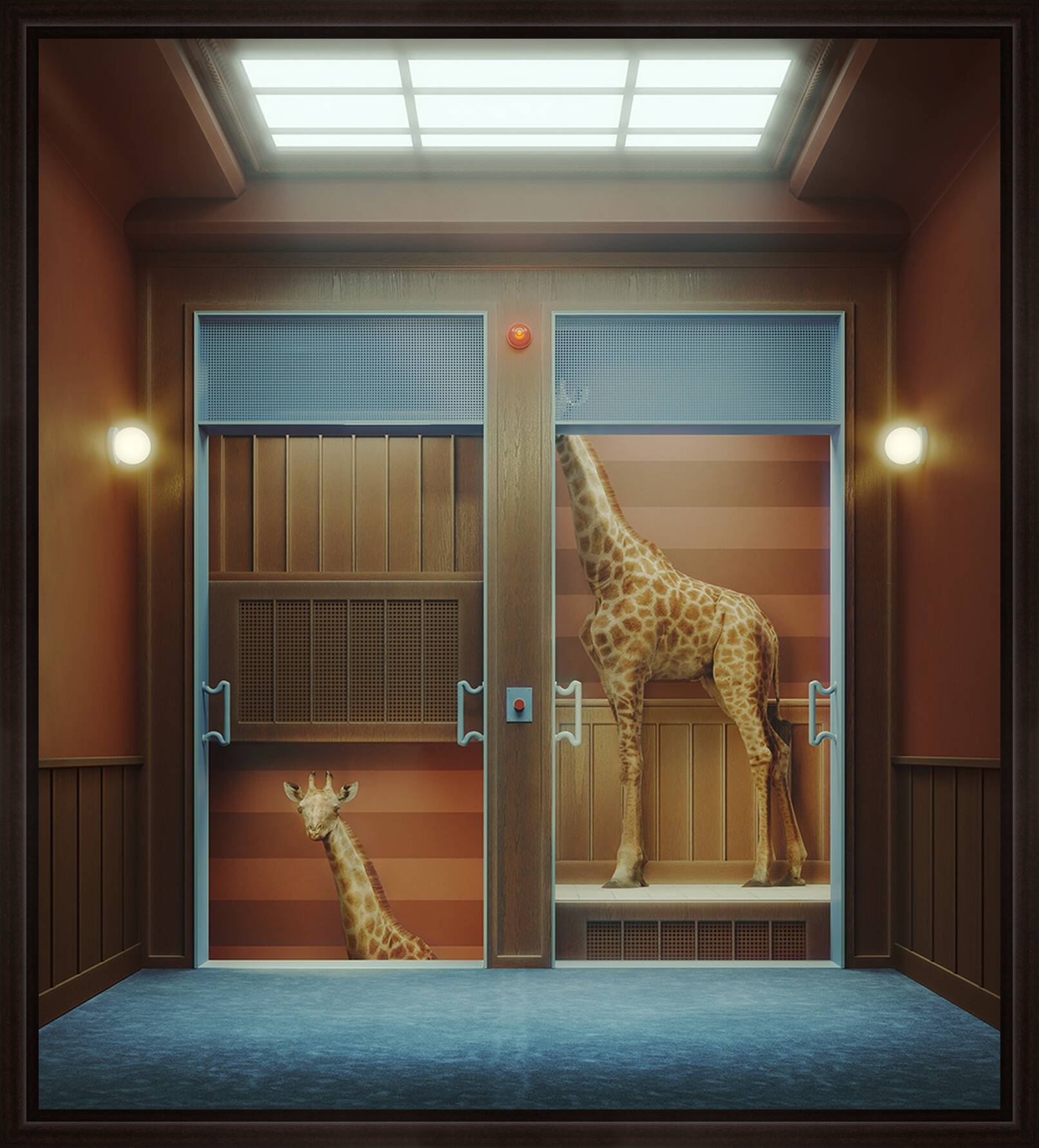 Giraffe by Massimo Colonna - Limited Edition. Edition of: 150. Signed.
