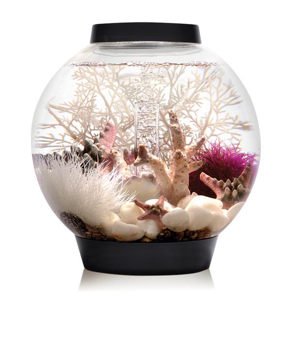 biOrb® Aquarium CLASSIC 15 MCR