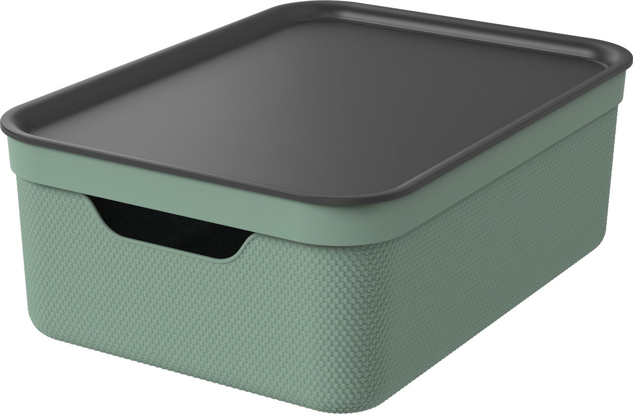 rotho Deko Box mit Deckel