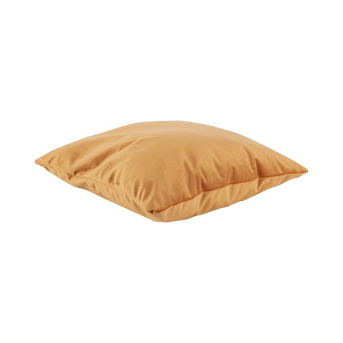 Present Time - TENDER - Ocre
