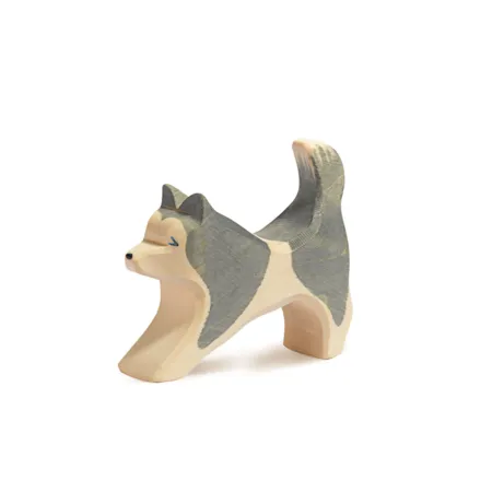Ostheimer Schlittenhund laufend