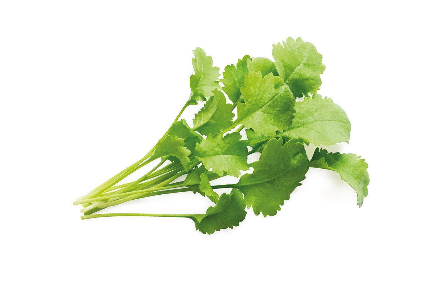 Samen Kresse Nachfüllpackung 3er-SetNachfüllpackung zum Smart Herb Garden
