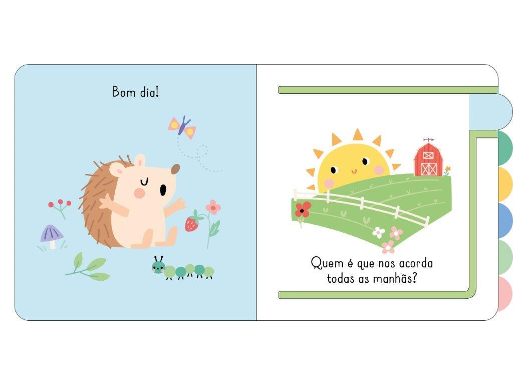 LIVRO O MEU LIVRO DE IMAGENS - QUINTA