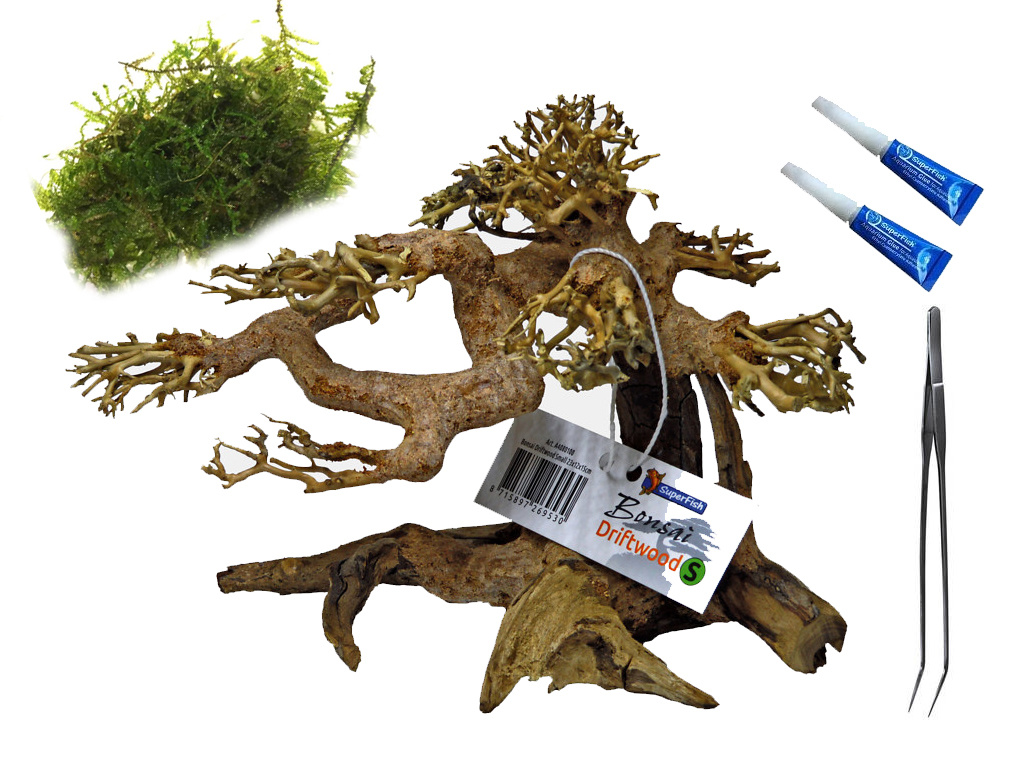voordeel aquarium bonsai bundel