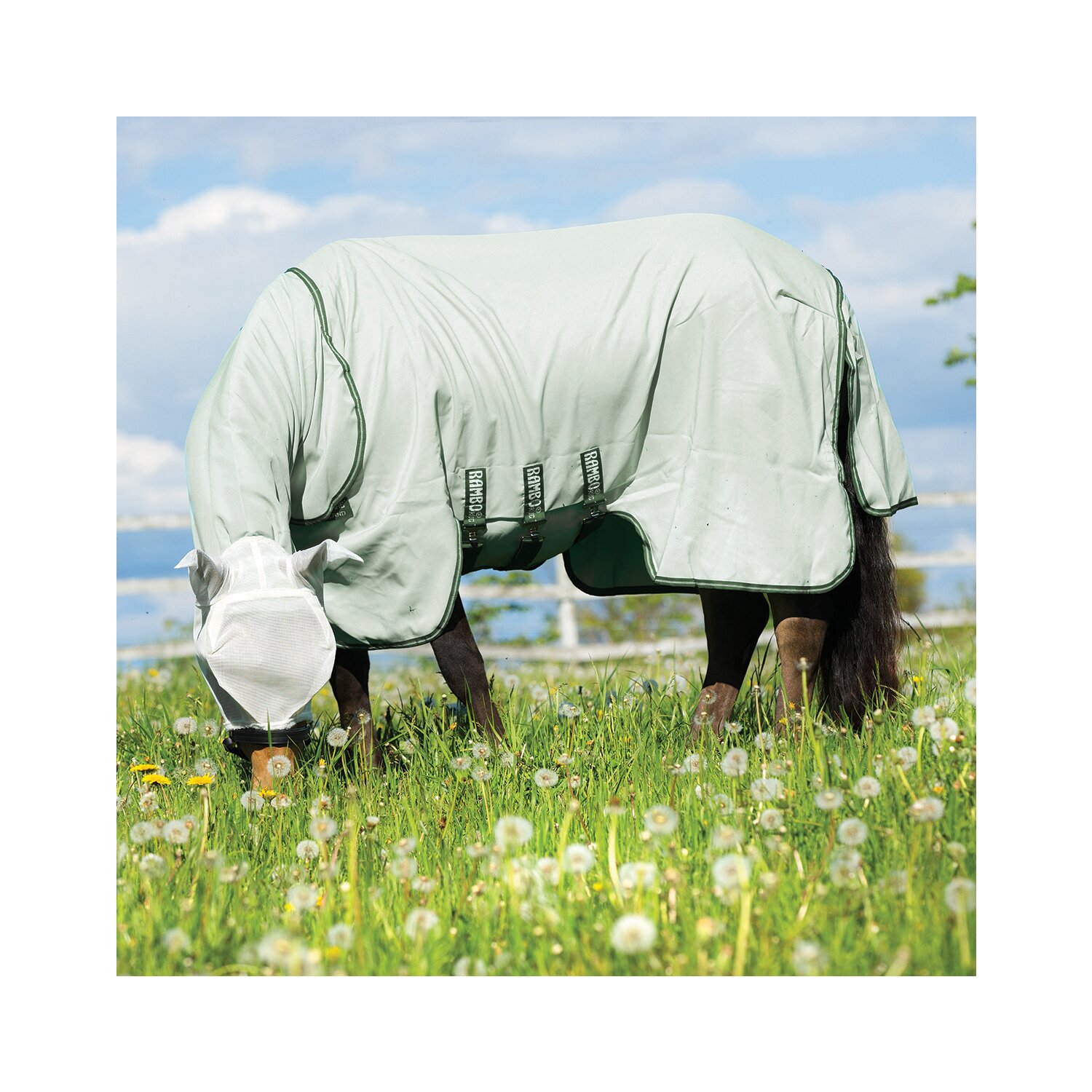 HORSEWARE Fliegendecke RAMBO Hoodie - green/sage