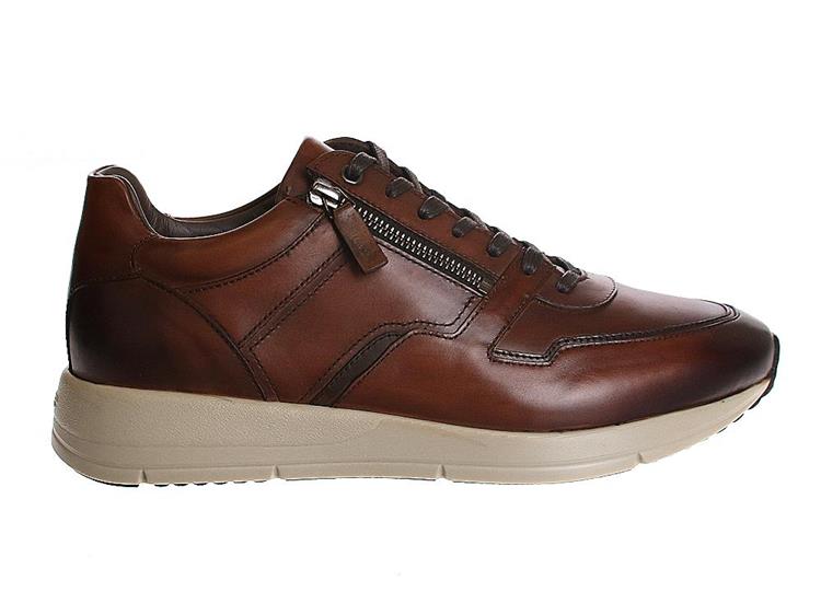 Greve 3284.09 Cognac