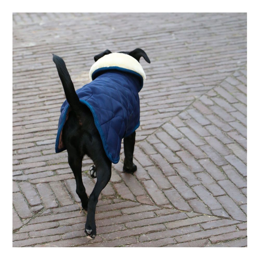 Kentucky ORIGINAL 160G - Couverture pour chien navy