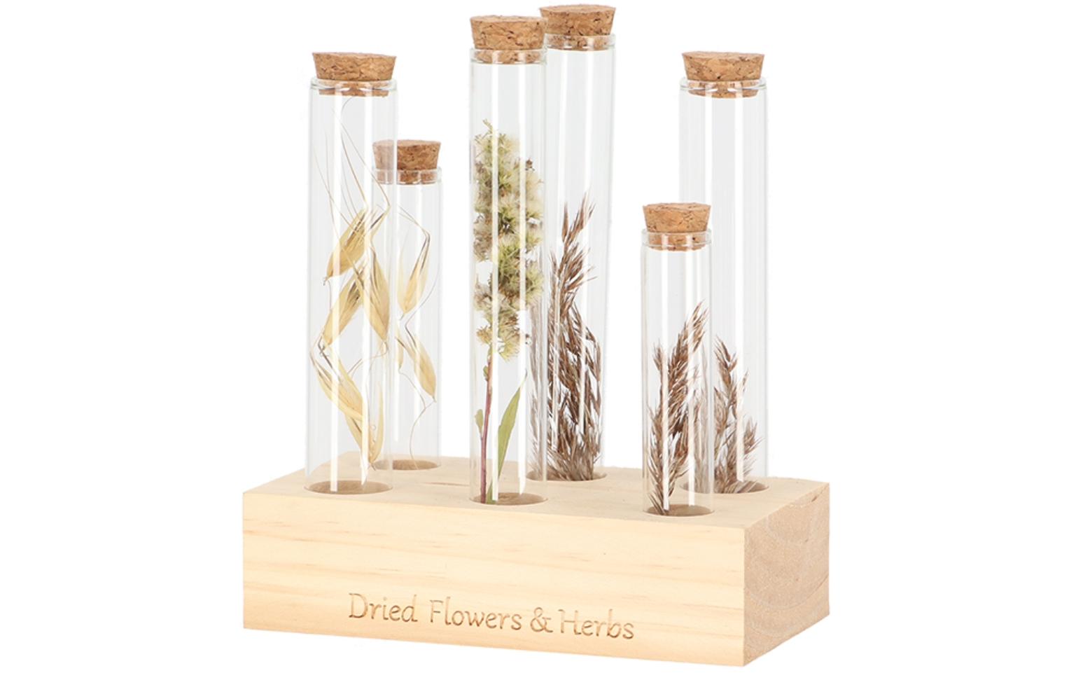 Vase Reagenzglas L 6 Gläser, 17.5 cm, Nature/TransparentReagenzgläser mit Holzsockel