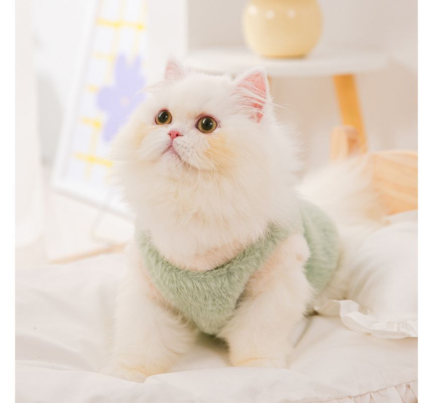 Cissilli - Katten Chenille Huisdier Top