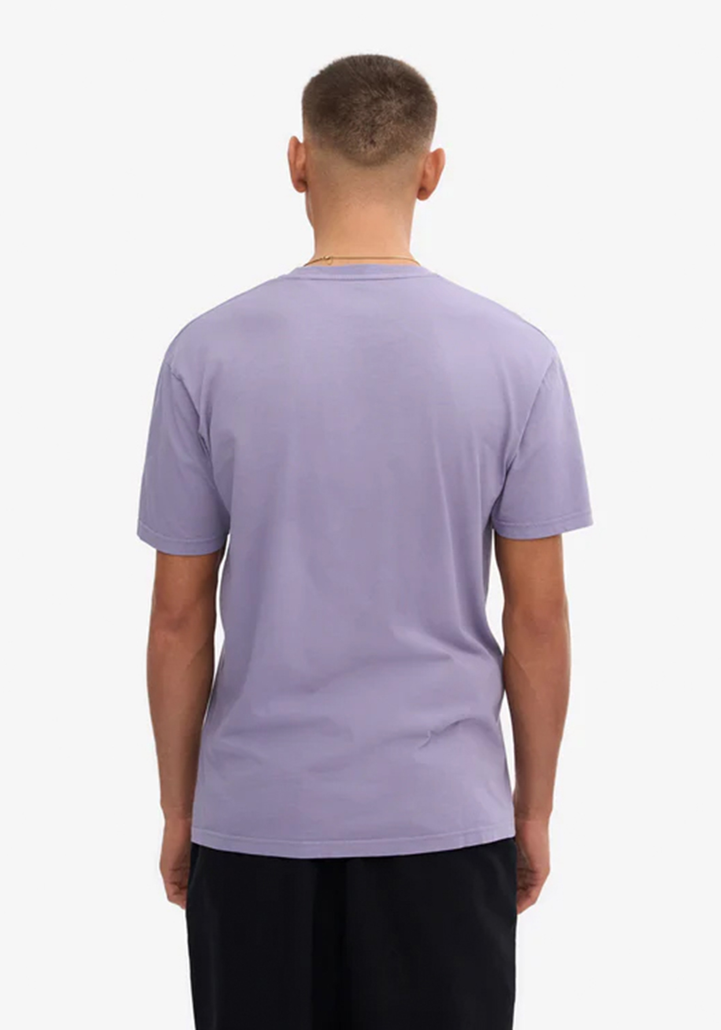 Colorful Standard Herren-T-Shirt Purple Jade