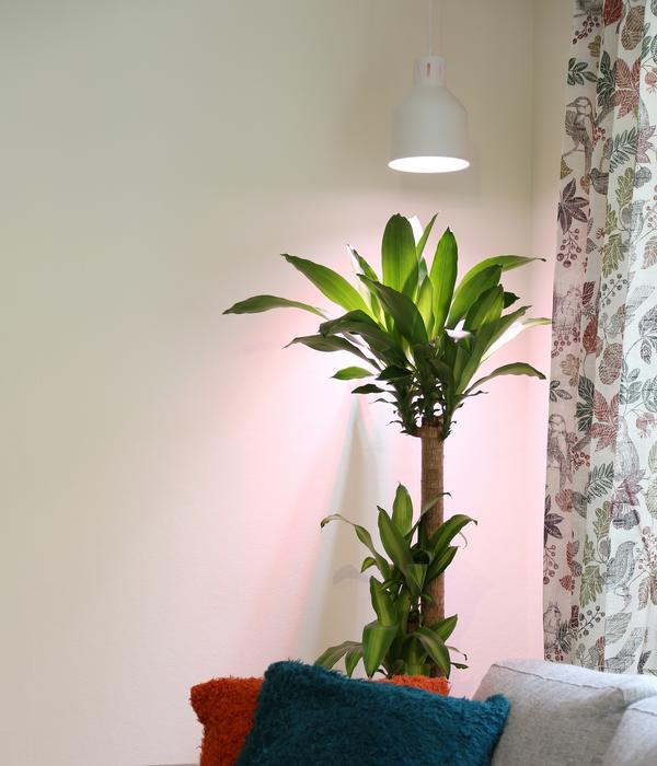 Venso Lampenschirm Saga für Pflanzenlampe