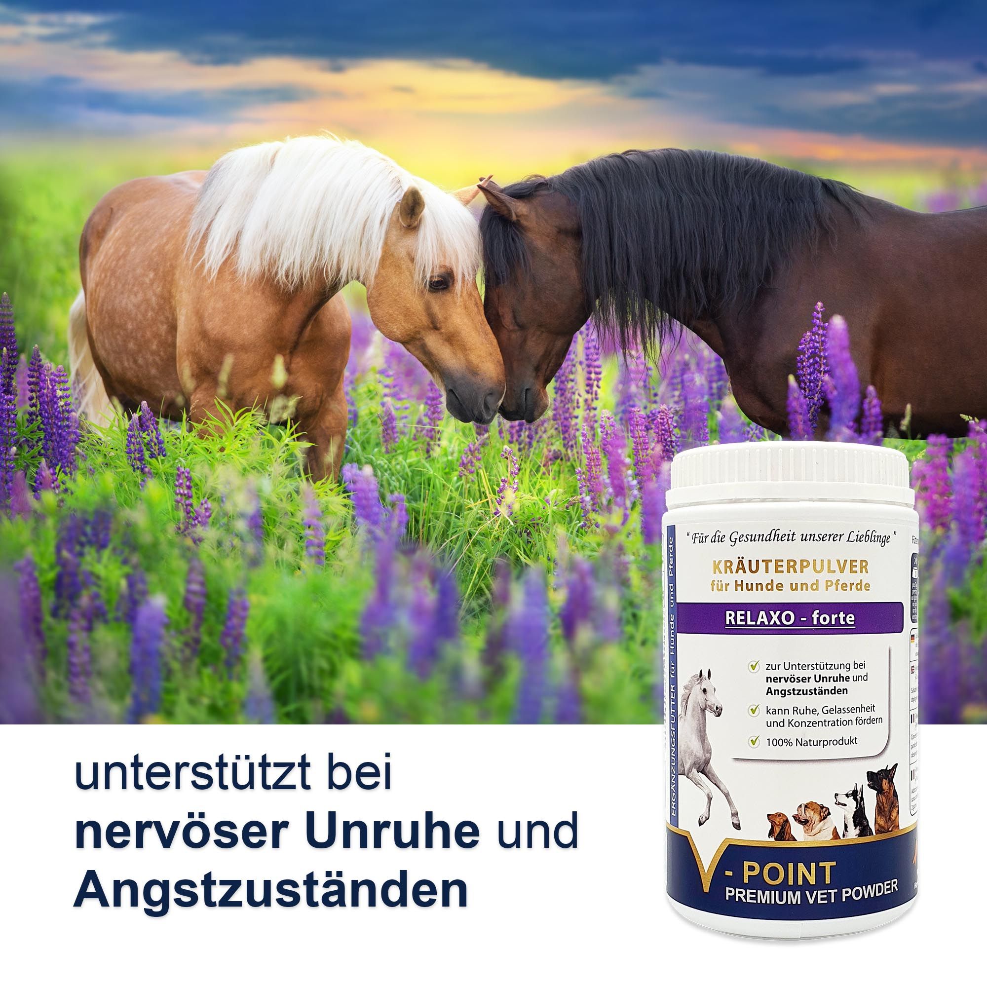 V-POINT® RELAXO forte - Kräuterpulver bei nervöser Unruhe