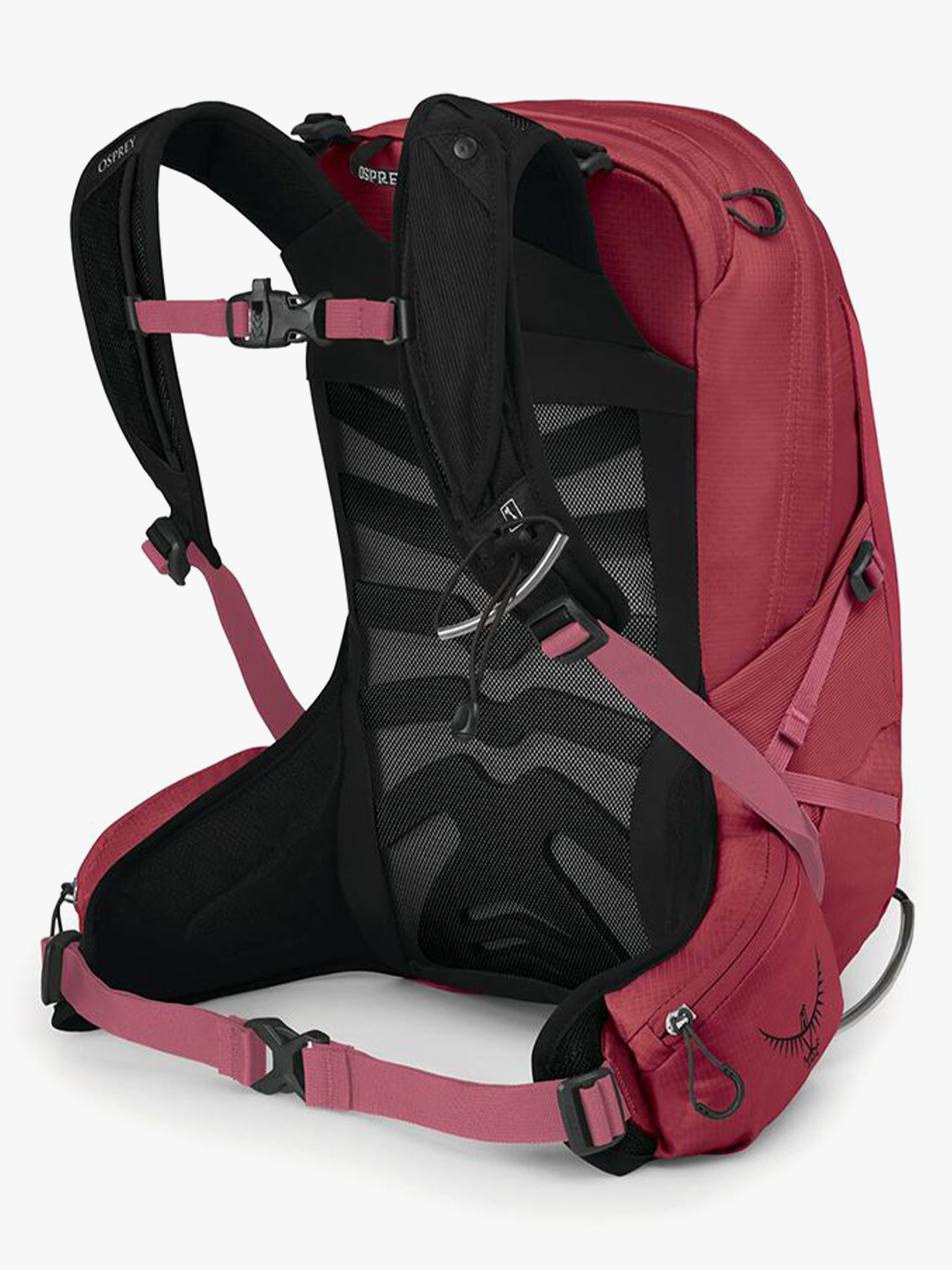 Tempest 9