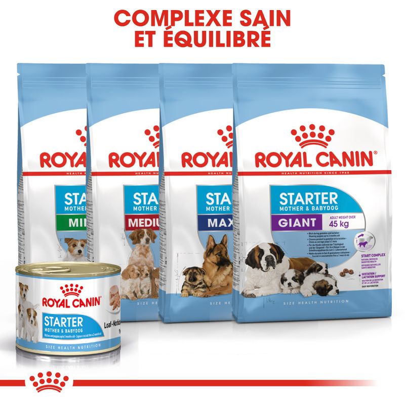 Royal Canin Starter Mother & Babydog Ultra Soft Mousse à prix discount sur bitiba.fr