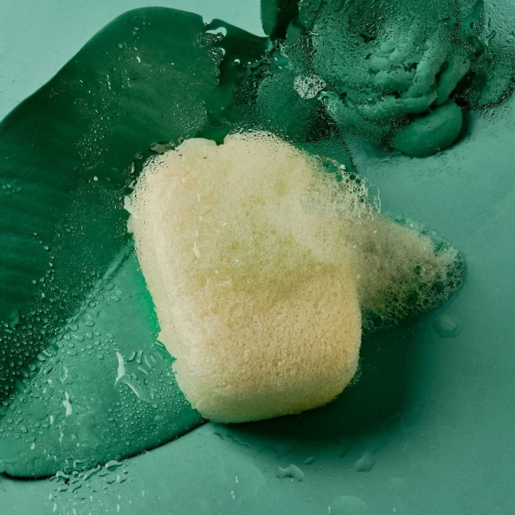 BANBU  Konjac-Körperschwamm Natur
