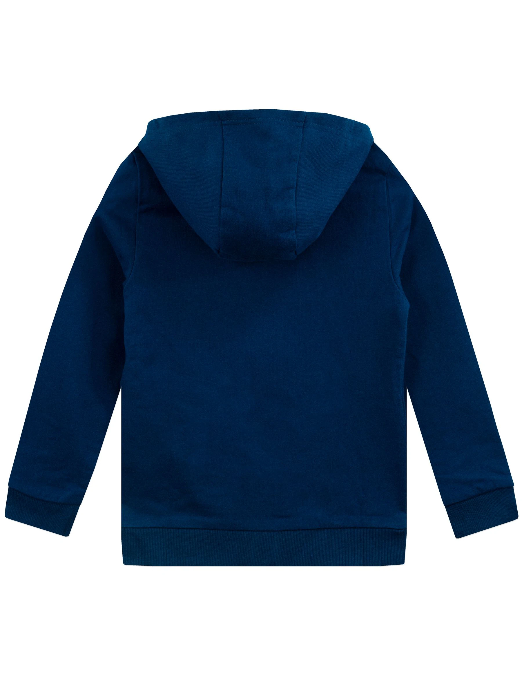 Character 100% Cotton Lego Ninjago Hoodie