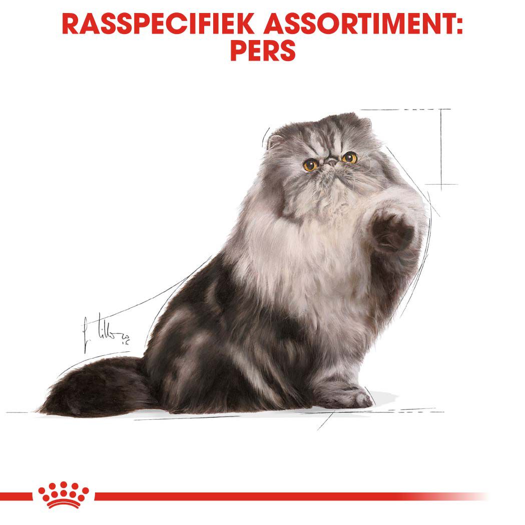 Royal Canin Persian Adult Pouch - Kattenvoer - 1020 Gram