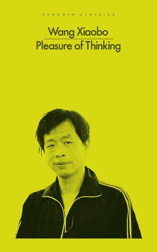 Pleasure of Thinking (Paperback)