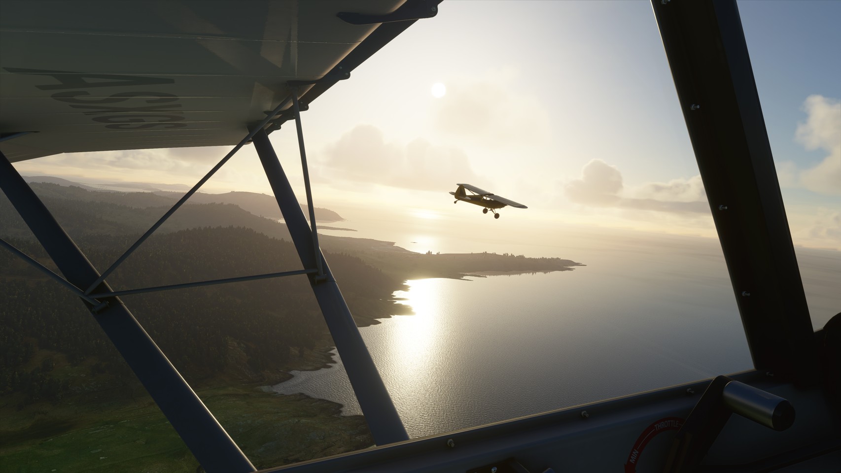 Microsoft Flight Simulator: Premium Deluxe Edition- PC