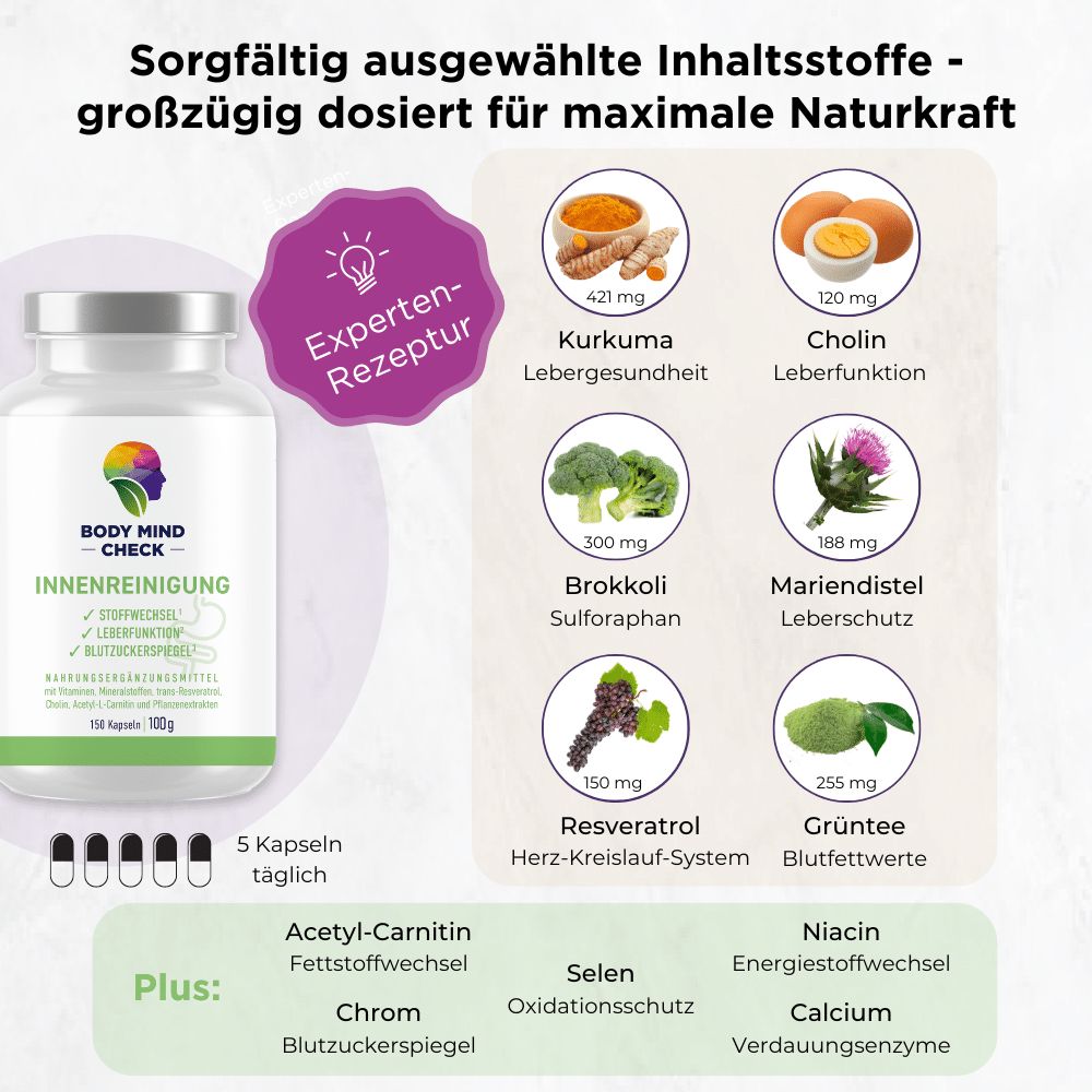 BodyMindCheck INNENREINIGUNG