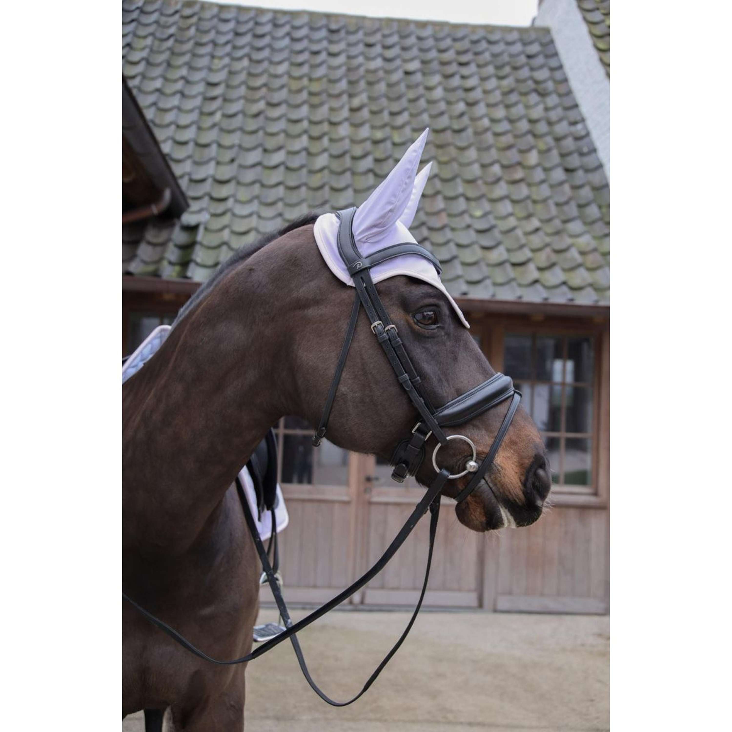 Kentucky Oornetje Wellington Soundless Softshell Lichtpaars/Lichtroze