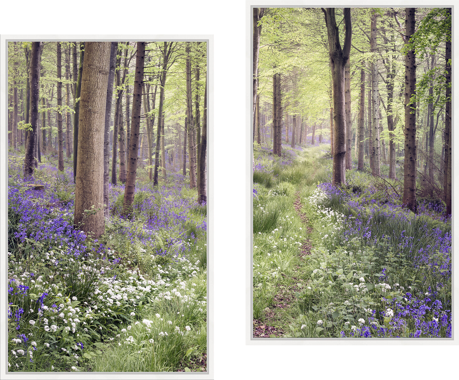 The Secret Path by Chris Frost - Limited Edition. Edition of: 150. Signed.