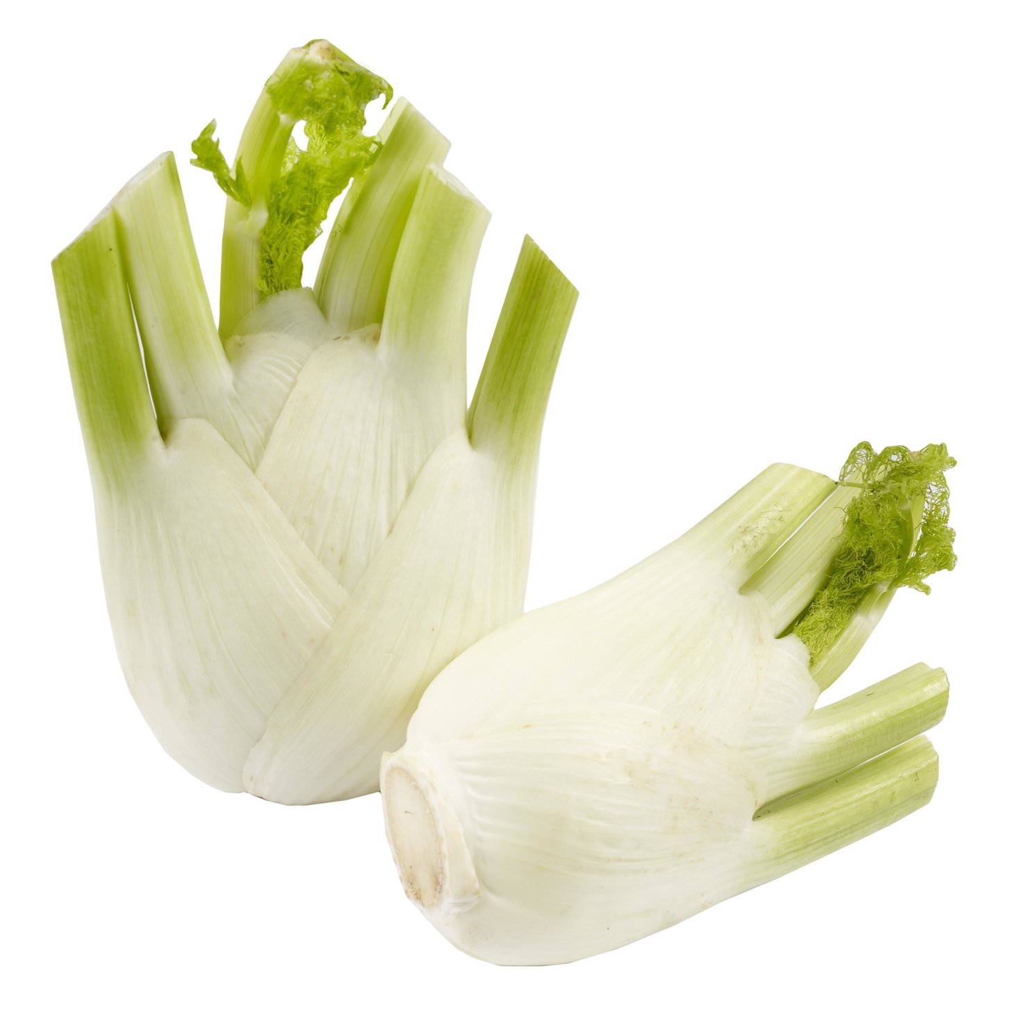 Naturaplan Bio Fenchel ca. 500g -