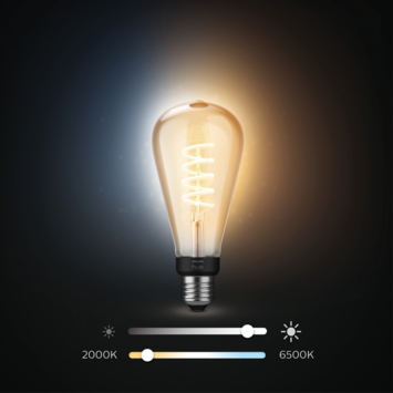 Philips Hue White Ambiance Edison 7W E27