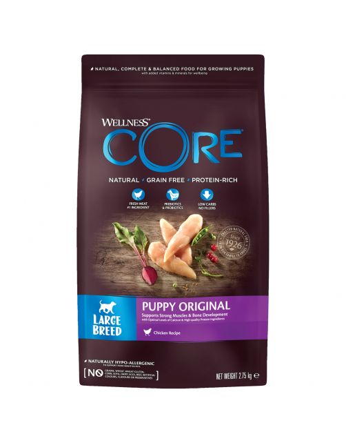 Wellness Core Grain Free Large Breed Puppy Kip - Hondenvoer