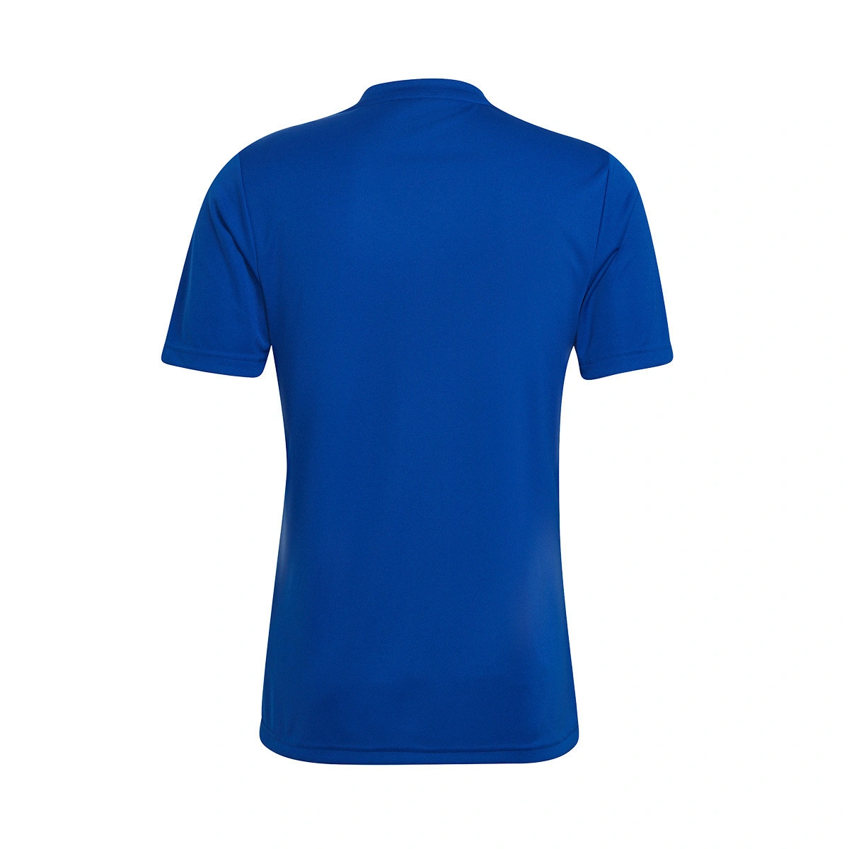 Camisola adidas Entrada 22 GFX m/c