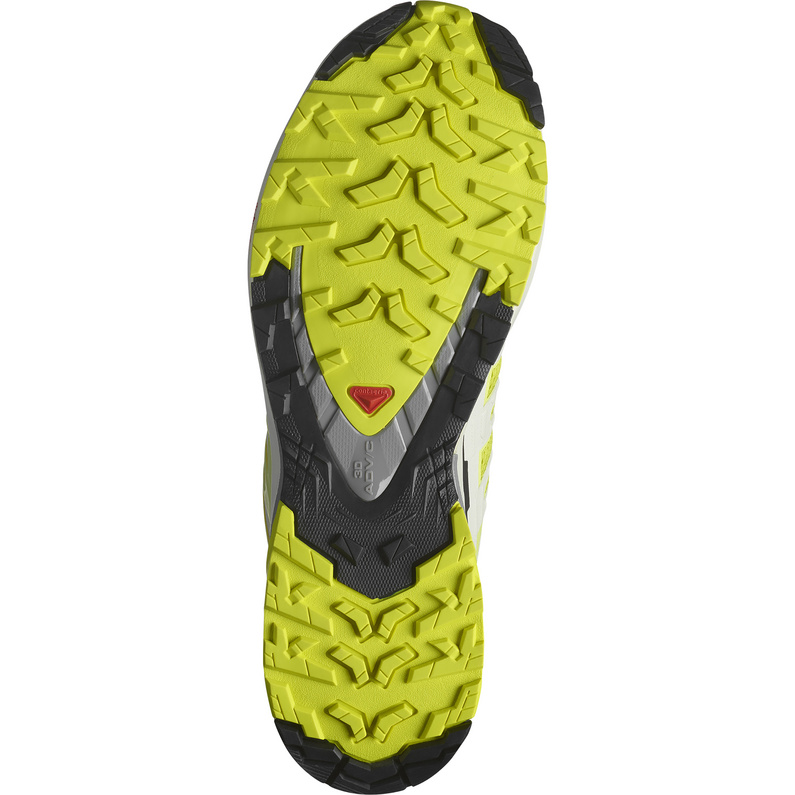 Salomon XA Pro 3D V9 Schuhe