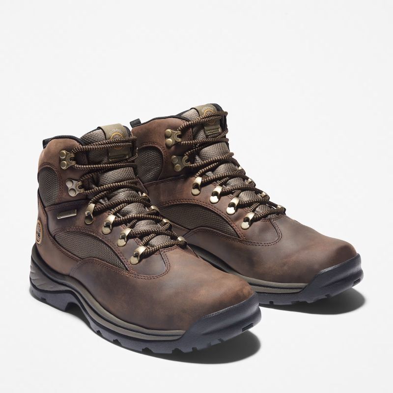 Chocorua Mid Waterproof - Chaussures randonnée homme