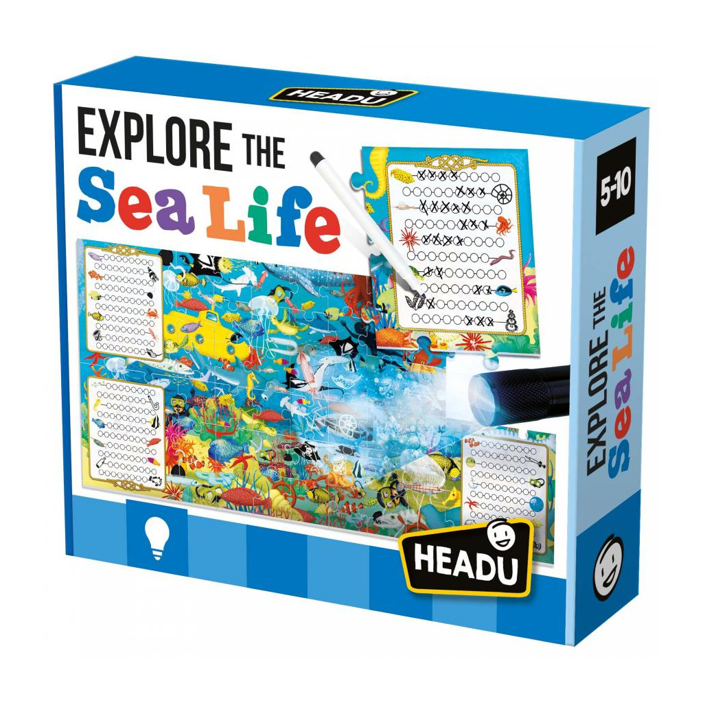 Explore the Sea Life
