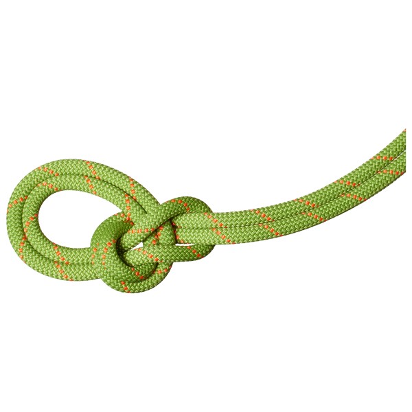 Mammut - 9.8 Crag Recycled Classic Rope - Corde à simple