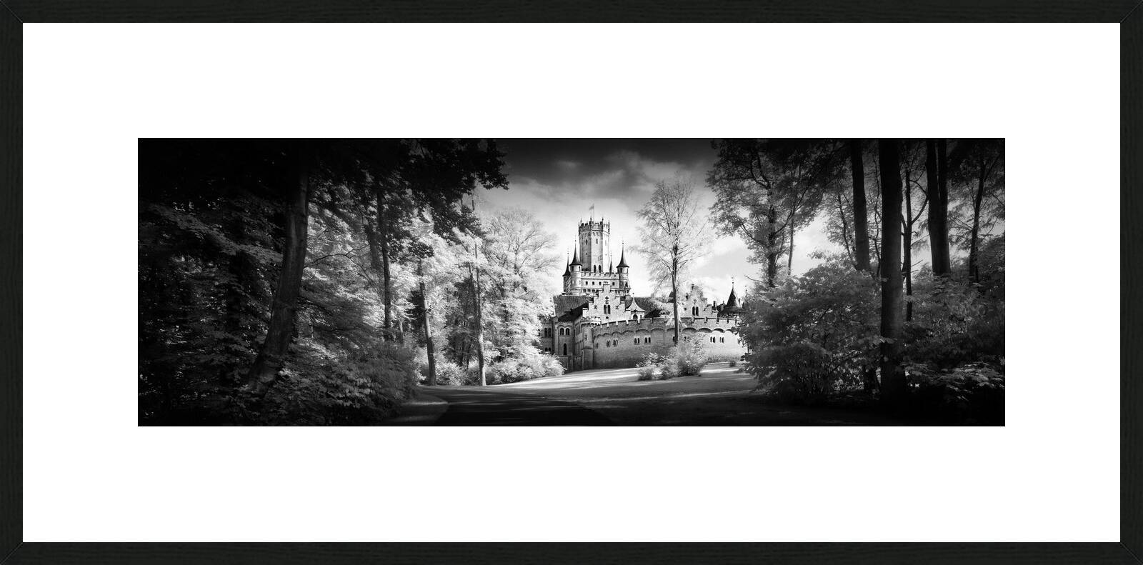 Schloss Marienburg by Wolfgang Mothes - Limited Edition. Edition of: 100. Signed.