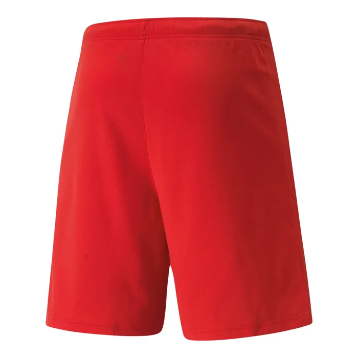 Puma teamRISE Short Heren