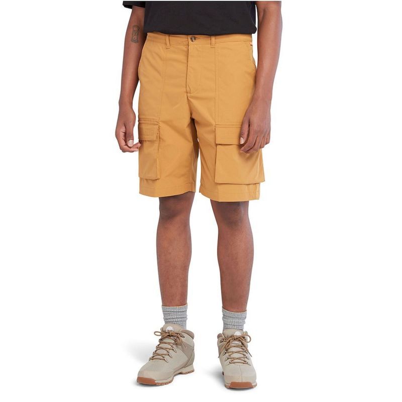 DWR Cargo Short - Short randonnée homme