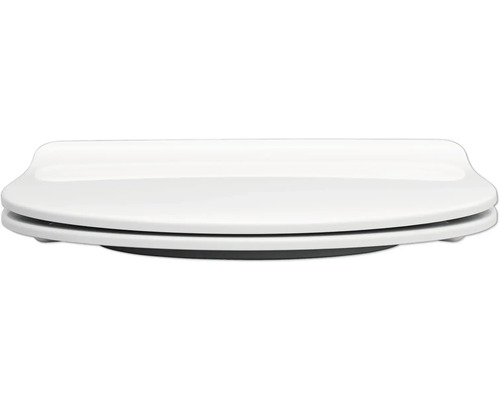 REIKA toiletzitting Abe wit met soft-close mechanisme en Quick&Clean Slimline D-vorm