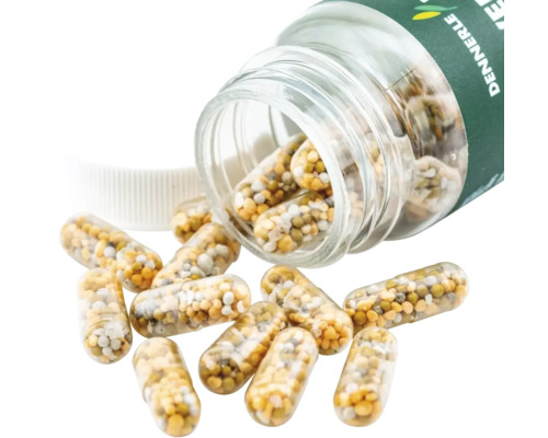 DENNERLE PLANTS Power Caps aquariumplantenmeststof, 25 capsules: wortelmeststof met stikstof, fosfor, ijzer en micronutriënten.