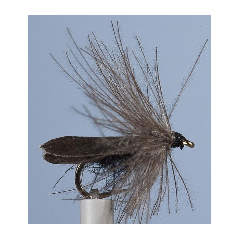 Mouche Jmc Sedge Zc 20