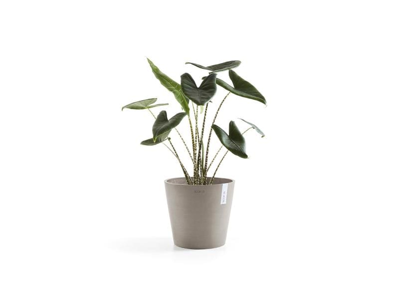 Ecopots Pflanzentopf Amsterdam 40, French Taupe Robuster und langlebiger Blumentopf