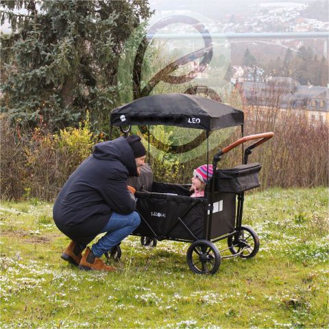FableKids Bollerwagen LEO X4 Plus