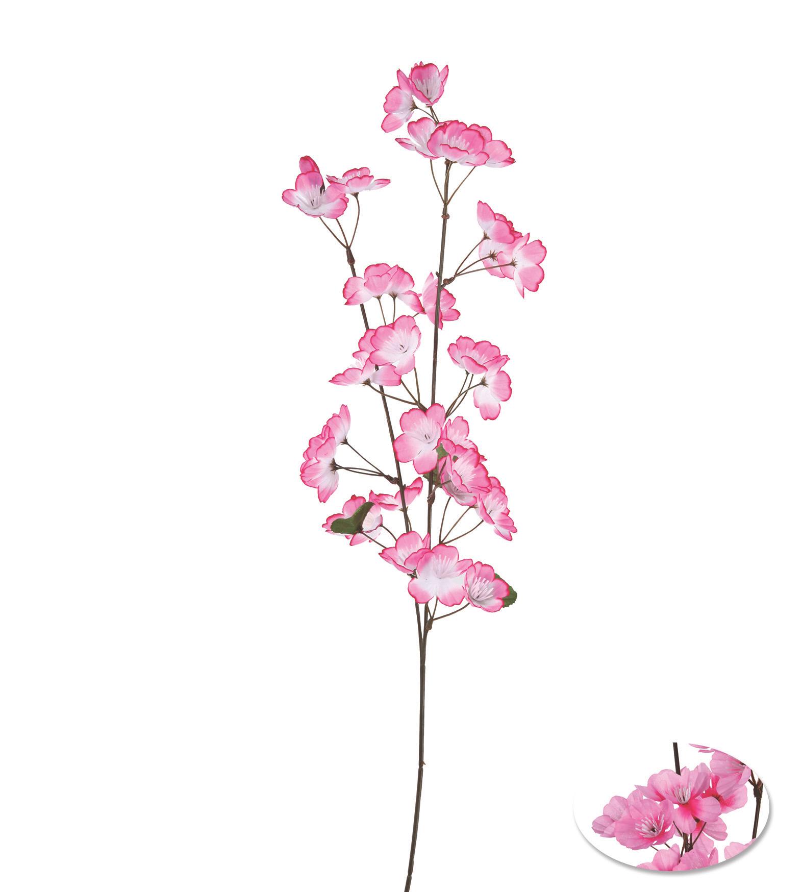 TIGE POMMIER H.75CM ROSE