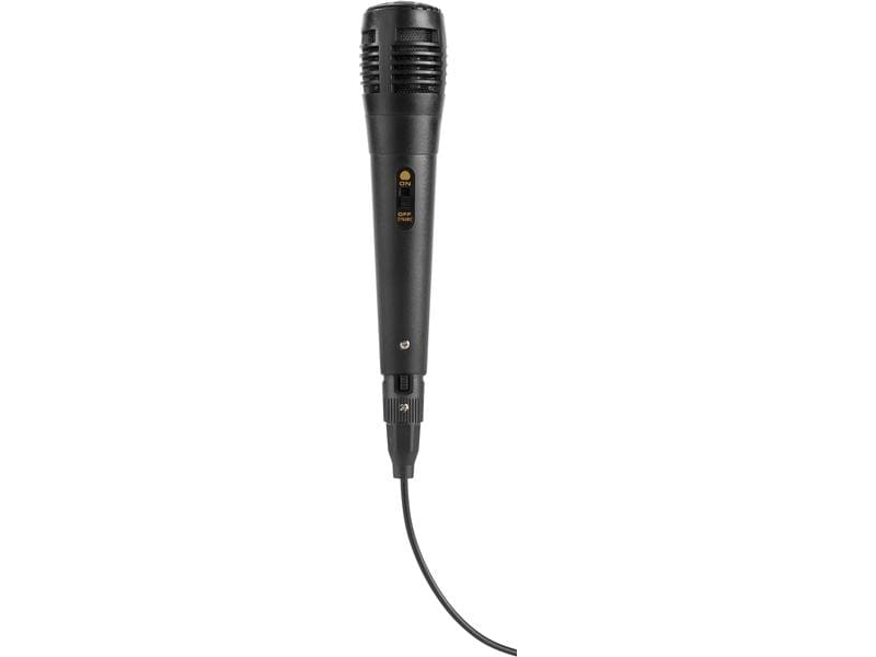 Fenton Lautsprecher LIVE280 Karaoke Maschine Schwarz Aktive, 2-Wege, lichtwechselnde Karaoke-Anlage mit 2 Mikrofone und Fernbedienung